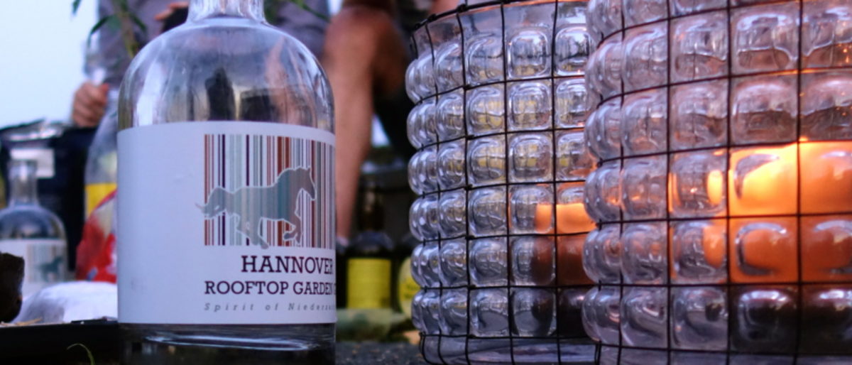 Hannover Gin 1